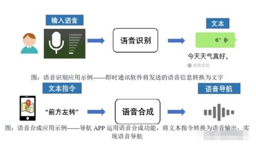 声纹掘金 语音类基础数据国内第一的人工智能上游龙头崛起之路